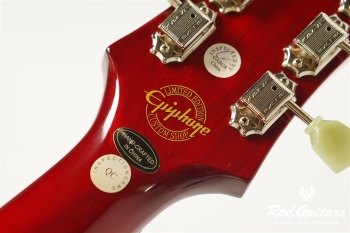 Limited Edition Tak Matsumoto DC Standard Plus Top - Cherry